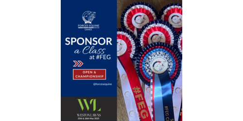 #FEG Sponsorship